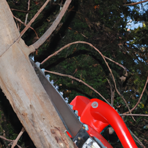 Unpacking The Features Of Milwaukee M18 Pole Saw.
